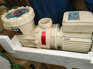 Mencari Distributor Pompa Kolam Renang di Surabaya?